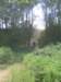 img_7172_small.jpg